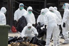 Hiểm họa lan rộng