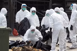 Hiểm họa lan rộng