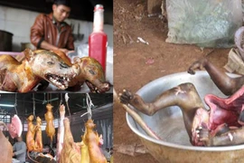 Đại dịch Ebola, những bữa tiệc tàn ác và sự trả thù của tự nhiên