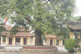 “Tránh duyên” vì lời "sấm truyền"