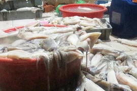 Chặn nguồn nước thải ô nhiễm đổ ra hồ Trúc Bạch