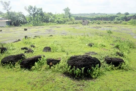 Kỳ bí bãi đá cổ khổng lồ hình kim tự tháp của dân tộc S’tiêng