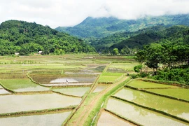 Trải nghiệm trên "con đường đau khổ"