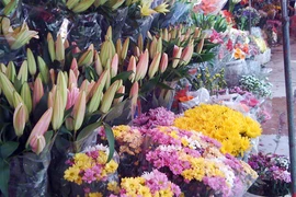 Rộn ràng ngày lễ Tình yêu