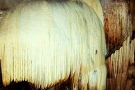  Hang Chi Đảy - “căn phòng” của tiên nữ