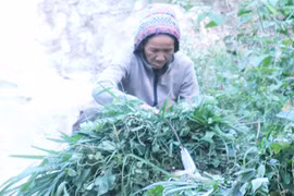 Lòng bao dung của người mẹ mất con sau thảm án giết người chấn động dư luận