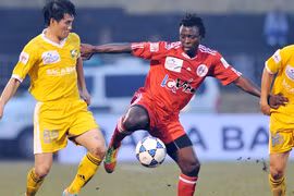 Sông Lam mùa… “cạn nước”