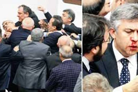 Nghị sĩ giải quyết bất đồng bằng... nắm đấm