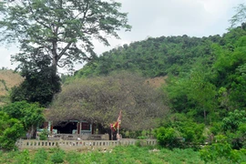 Ngôi chùa có "bảo bối" thanh trừng thói hư, tật xấu