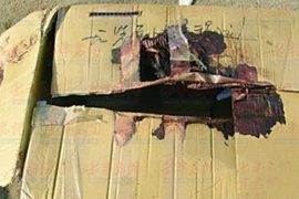 Cặp tình nhân ác độc