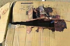 Cặp tình nhân ác độc