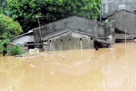 Sau bão, 8 người chết và mất tích