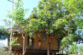 Anh em họ lấy nhau vì sợ mất tài sản cho người khác