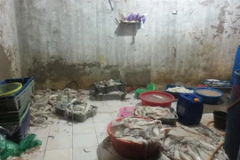 Phù phép hải sản “bẩn” ngay tại chợ