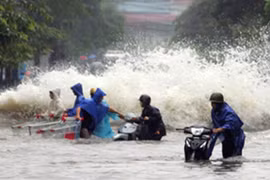 Phát động Giải thưởng tài năng 2014