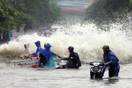 Phát động Giải thưởng tài năng 2014