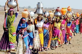 Phụ nữ đi đầu chống biến đổi khí hậu