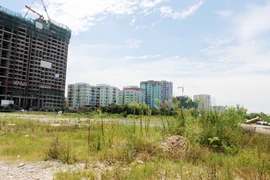 Đất không giấy tờ cũng sẽ được cấp “sổ đỏ”