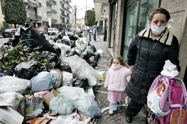 Chống “mafia môi trường”