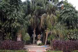 Bắt nghi phạm hiếp dâm tập thể nữ du khách 51 tuổi