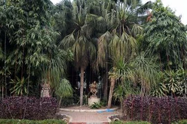 Bắt nghi phạm hiếp dâm tập thể nữ du khách 51 tuổi