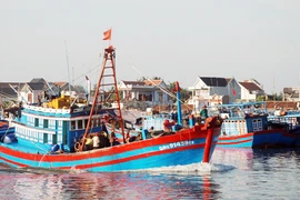 Ngư dân trẻ sục sôi tiến ra Hoàng Sa 