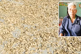 "Thần y" và phương thuốc từ thảo mộc cứu chữa dân nghèo