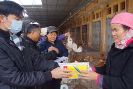 Sẵn sàng nâng cấp độ ứng phó với cúm A/H7N9