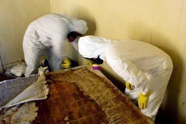 Nghề “ngửi mùi chết chóc”