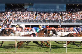 Bao giờ ngựa mới được phi?