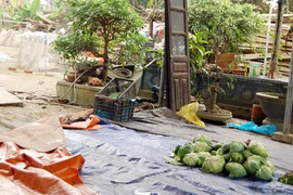 Rau sạch vẫn chưa đạt yêu cầu