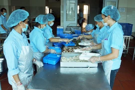 Quản lý chặt chất lượng bếp ăn nhà trường 