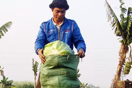 Hàng hóa ế ẩm, lạm phát hạ giảm, ai mừng, ai lo?