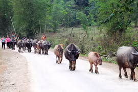 Đường mới Mường Lát, Sài Khao