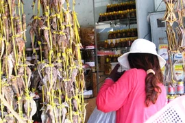 Loạn phố “thần dược sung sướng” cho quý ông