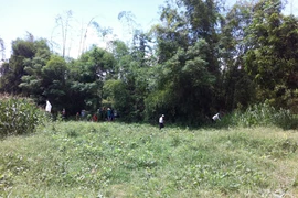 Quảng Ngãi: Phát hiện xác chết trên sông