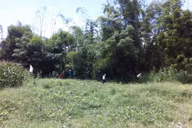 Quảng Ngãi: Phát hiện xác chết trên sông