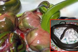 Kỳ quái thú ăn chơi “tăng bản lĩnh đàn ông”