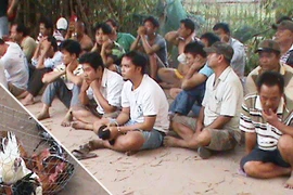 Phá ổ đá gà quy mô 