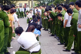 Sôi nổi hưởng ứng Tháng Thanh niên