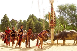 Để “cửa ngỏ” cho việc bảo tồn