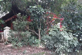 Di tích gò Đống Thây sắp biến mất