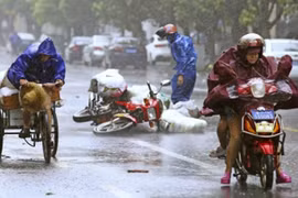 Bão Kalmaegi làm tê liệt Hồng Kông, 29 người bị thương