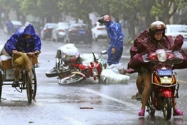 Bão Kalmaegi làm tê liệt Hồng Kông, 29 người bị thương