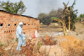 Cúm gia cầm H5N1 lan rộng ra 10 tỉnh