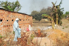 Cúm gia cầm H5N1 lan rộng ra 10 tỉnh