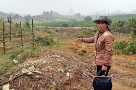 Đình chỉ một cán bộ cho san ủi nghĩa địa của dân