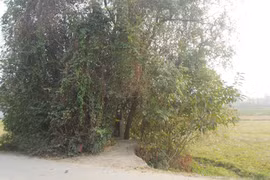 Ngôi mộ vô danh biết "tự lớn lên" cùng những câu chuyện quở phạt người khác