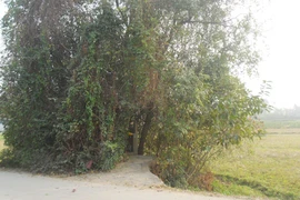 Ngôi mộ vô danh biết "tự lớn lên" cùng những câu chuyện quở phạt người khác