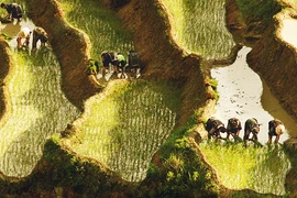 “Bức họa vùng cao” đạt giải Nhất